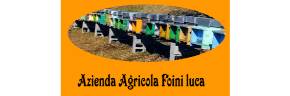 Logo – Luca Foini – Mieli lombardi e dove trovarli