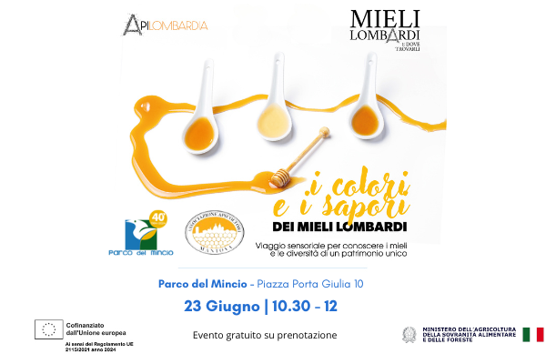 Testate BLOG MIeli Lomb (8)