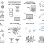 pieghevole-bimbi-mieli-lombardi