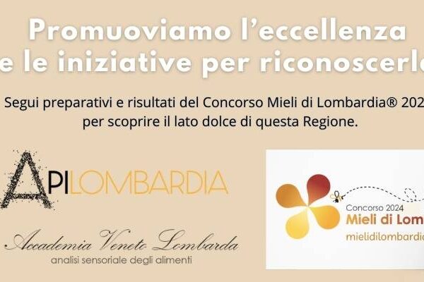 Senza titolo (1200 x 400 px)