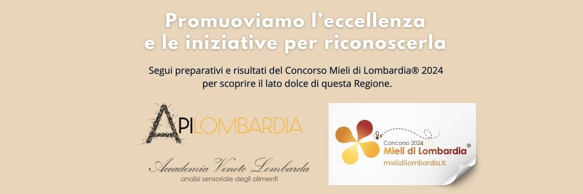 Senza titolo (1200 x 400 px)