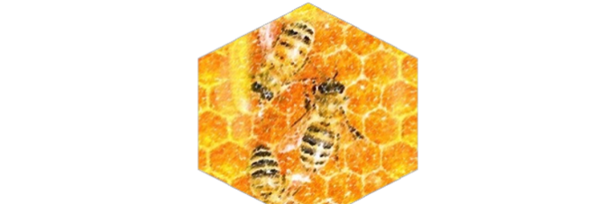 logo – Mariarosa Begnigna