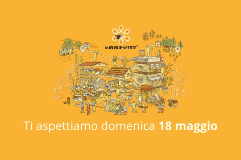 Testatina Articoli Sito (1)